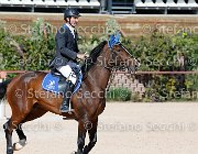 Minardi Gipsy Boy GioCav2013 S5 1953 : Campionati Italiani Giovani Cavalli, Cattolica, Gipsy Boy, Minardi Claudio, ph Stefano Secchi ©